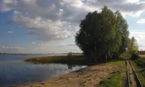 Piękny krajobraz nad jeziorem z piaszczystą plażą, torami kolejowymi i drzewami. Idealne miejsce na wypoczynek i podziwianie przyrody. Powidz atrakcje czekają!