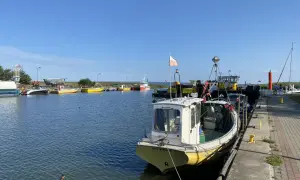 Portowe atrakcje: łodzie rybackie, w tym "Katy Rybackie", cumują przy nabrzeżu. Kaczka pływa w spokojnej wodzie.