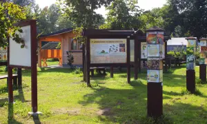 Skansen pszczelarski: odkryj fascynującą historię pszczelarstwa w Polsce