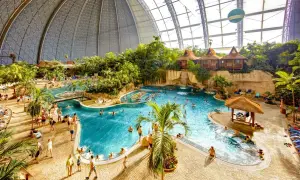 Wielki tropikalny basen pod kopułą, z palmami, domkami i ludźmi. Sprawdź nasz tropical island cennik, by zaplanować wakacje!