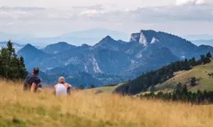 Para odpoczywa na trawiastym wzgórzu, podziwiając malownicze atrakcje Szczawnicy i okolic. Góry w tle tworzą zapierający dech w piersiach krajobraz.