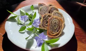 Gdzie zjeść w Drohiczynie? Odkryj najlepsze restauracje i smaki