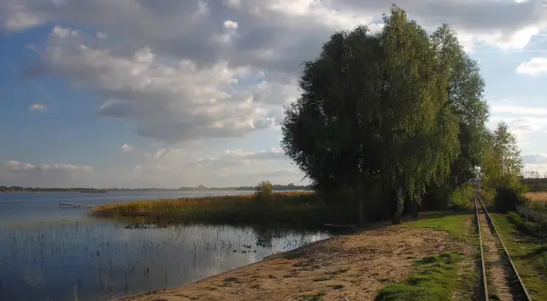 Piękny krajobraz nad jeziorem z piaszczystą plażą, torami kolejowymi i drzewami. Idealne miejsce na wypoczynek i podziwianie przyrody. Powidz atrakcje czekają!