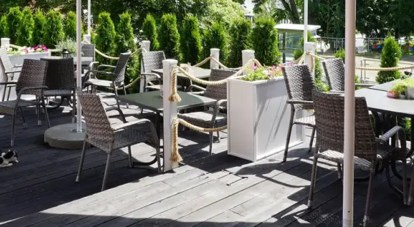 Gdynia Orłowo gdzie zjeść - odkryj najlepsze restauracje nad morzem