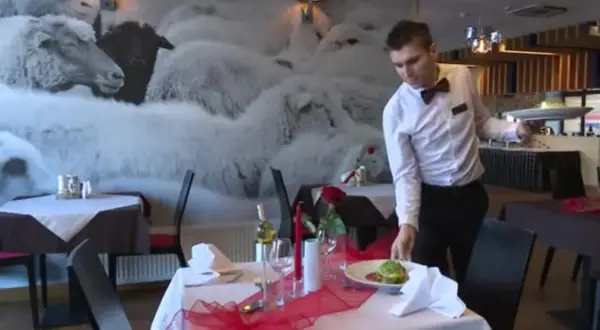 Gdzie zjeść w Piwnicznej-Zdroju? Najlepsze restauracje na każdą okazję