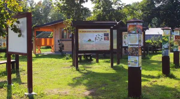 Skansen pszczelarski: odkryj fascynującą historię pszczelarstwa w Polsce