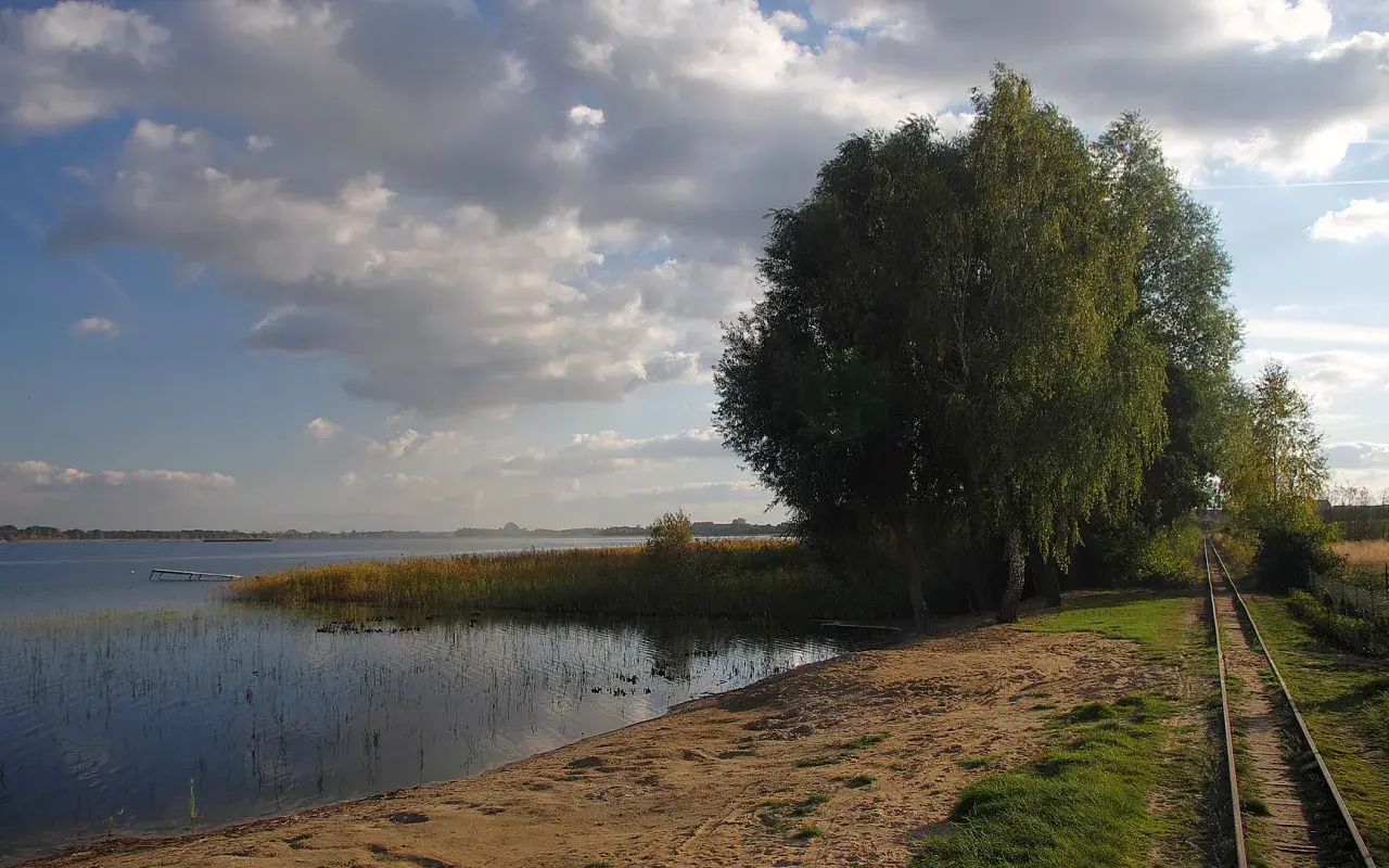 Piękny krajobraz nad jeziorem z piaszczystą plażą, torami kolejowymi i drzewami. Idealne miejsce na wypoczynek i podziwianie przyrody. Powidz atrakcje czekają!