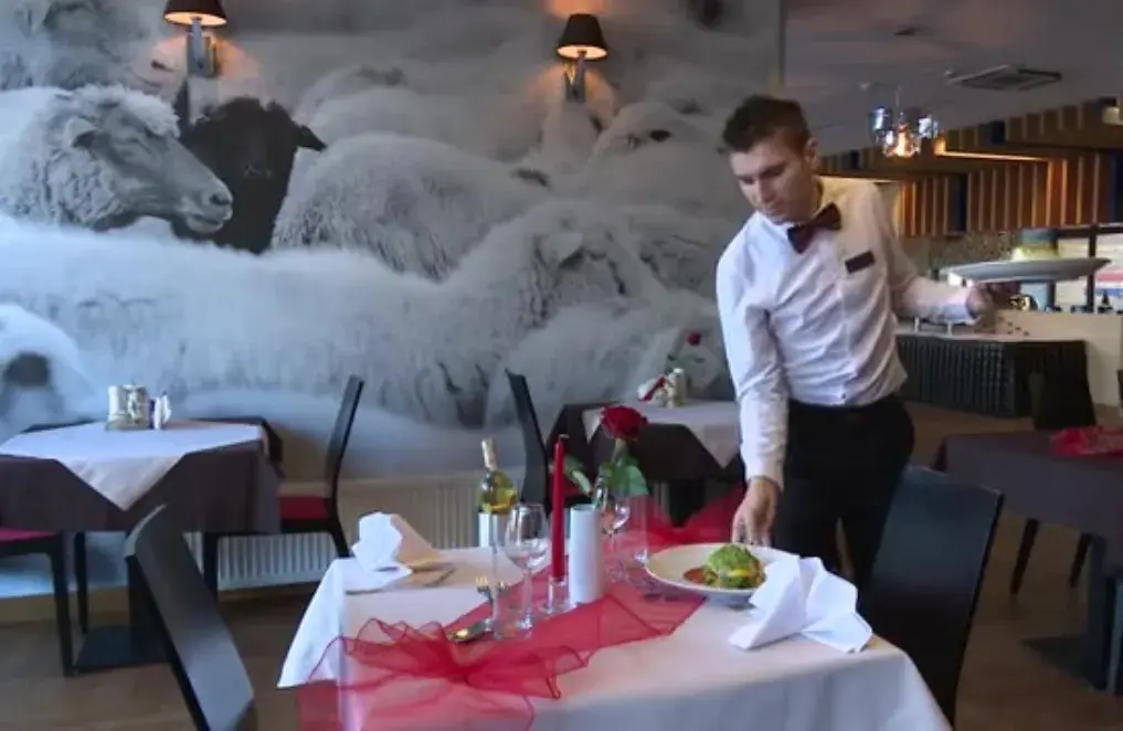 Gdzie zjeść w Piwnicznej-Zdroju? Najlepsze restauracje na każdą okazję