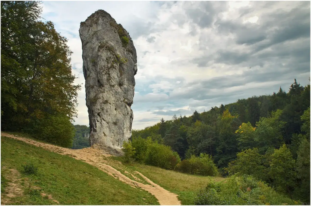 Ojcowski Park Narodowy ciekawostki: wysoka skała wapienna góruje nad zielonym zboczem i lasem.