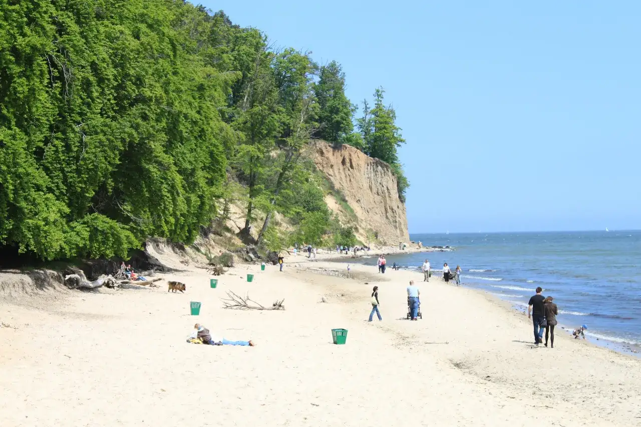 Plaża w Gdyni z klifem i zielenią, idealne miejsce na relaks. Odkryj gdynia atrakcje dla dorosłych, spacerując brzegiem morza.